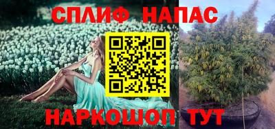 марки nbome Гусев