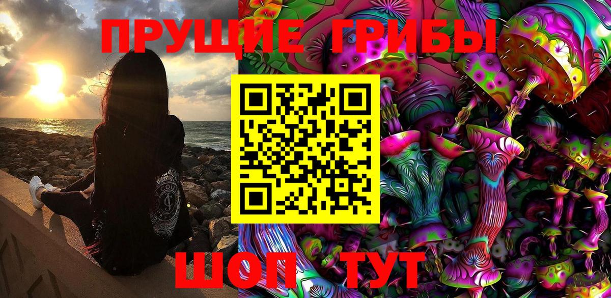 Псилоцибиновые грибы MAGIC MUSHROOMS  Вход с VPN  Звенигород  Галлюциногенные грибы мухоморы 