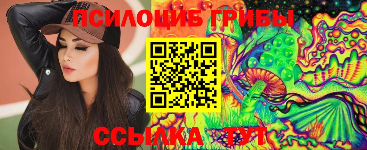 Псилоцибиновые грибы прущие грибы Звенигород